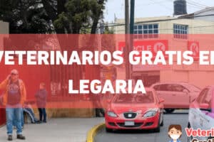 Veterinaria Otoya