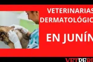 Veterinaria Pet Clinic Piura
