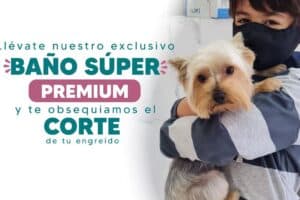 Veterinaria Pet Time Matellini