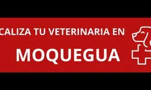 Veterinaria PROVET. Moquegua