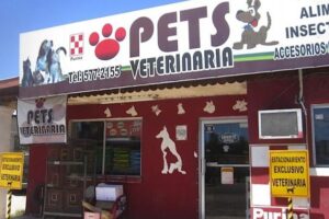 Veterinaria San Felipe