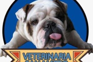 Veterinaria San Mateo – Sede Punchauca