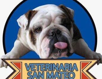 Veterinaria San Mateo - Sede Punchauca 1 veterinaria san mateo sede punchauca
