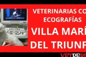 Veterinaria Villa Maria