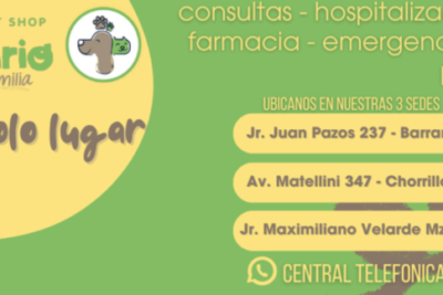 Veterinarias en Barranco, Lima: Clínicas y Servicios para Tu Mascota 1 veterinarias en barranco lima clinicas y servicios para tu mascota