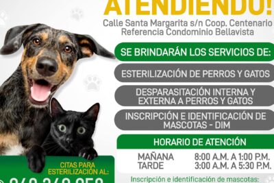 Veterinarias en Chavín de Huántar: Clínicas y Servicios para Mascotas en Perú 1 veterinarias en chavin de huantar clinicas y servicios para mascotas en peru