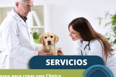 Veterinarias en Ferreñafe, Perú: Clínicas y Servicios para tu Mascota 1 veterinarias en ferrenafe peru clinicas y servicios para tu mascota
