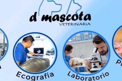 Veterinarias en Ima, Perú: Clínicas y Servicios Veterinarios de Confianza 1 veterinarias en ima peru clinicas y servicios veterinarios de confianza