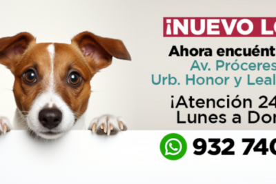 Veterinarias en Pucusana, Lima: Clínicas y Servicios para Mascotas 1 veterinarias en pucusana lima clinicas y servicios para mascotas